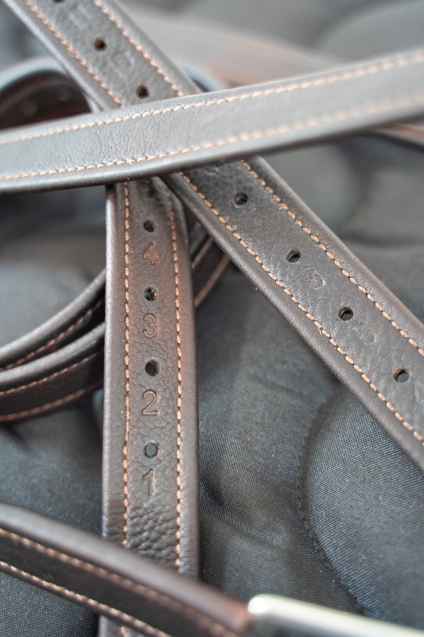 STIRRUP LEATHERS 1
