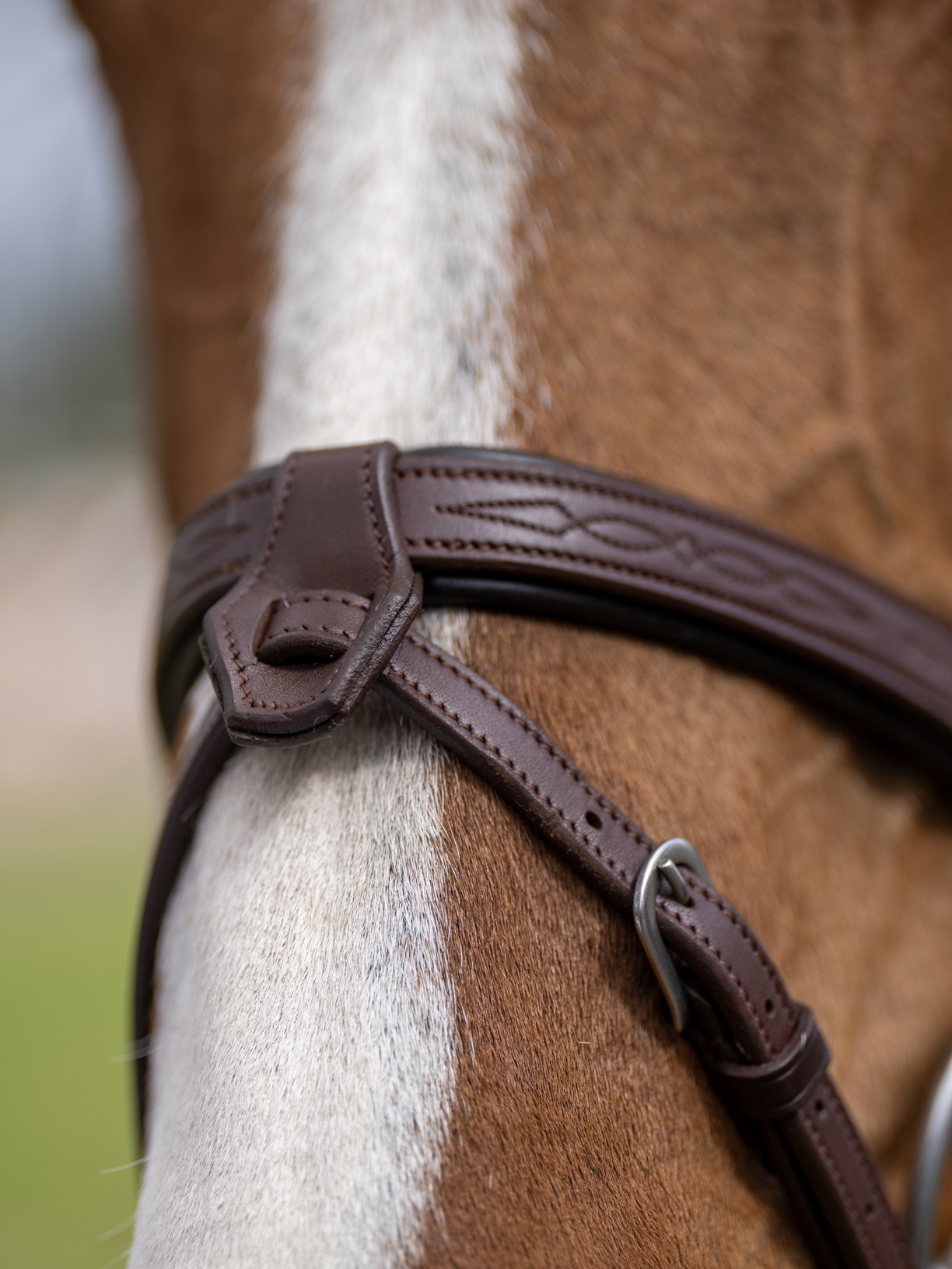 BRIDLE 1