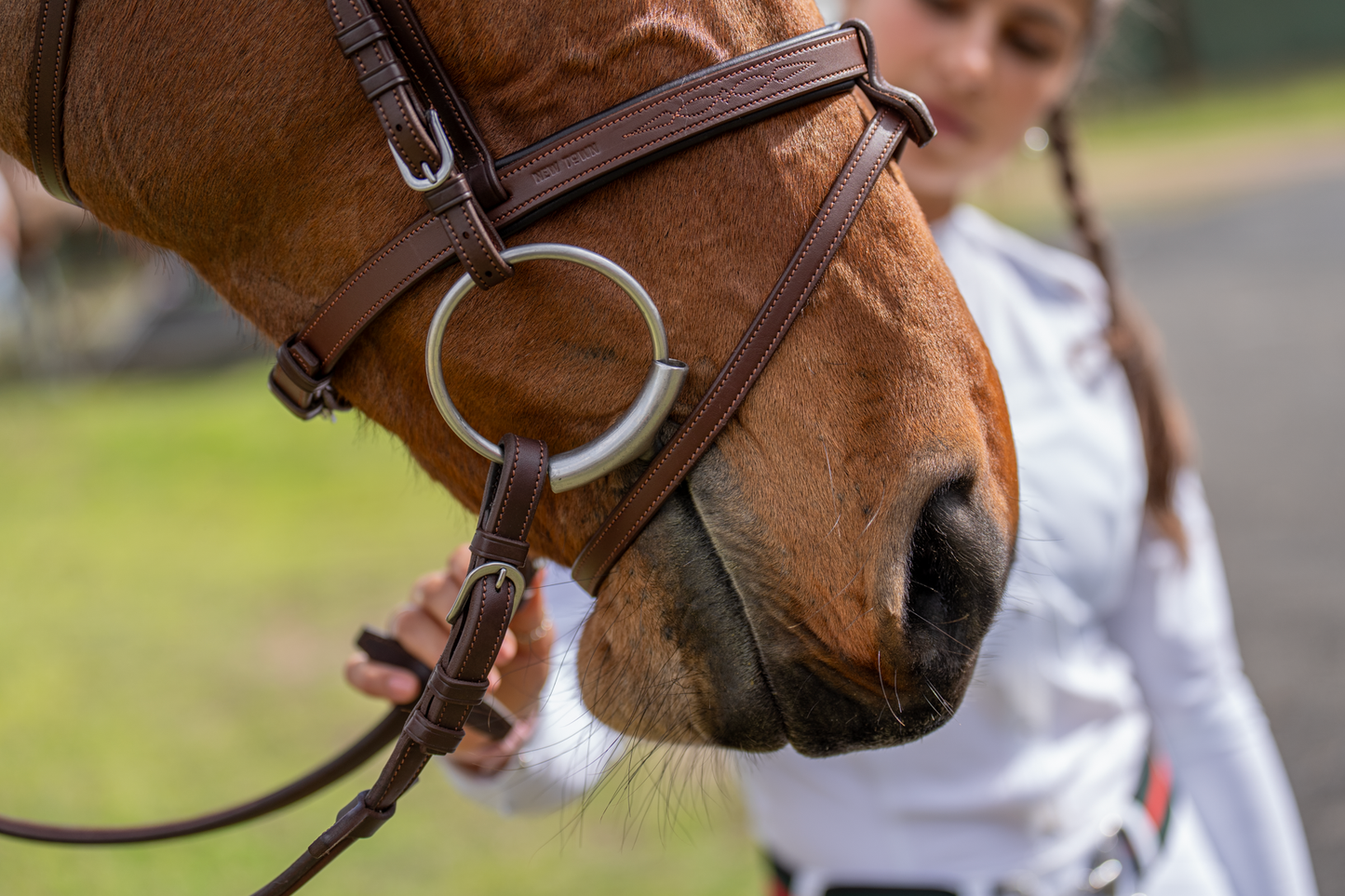 BRIDLE 2