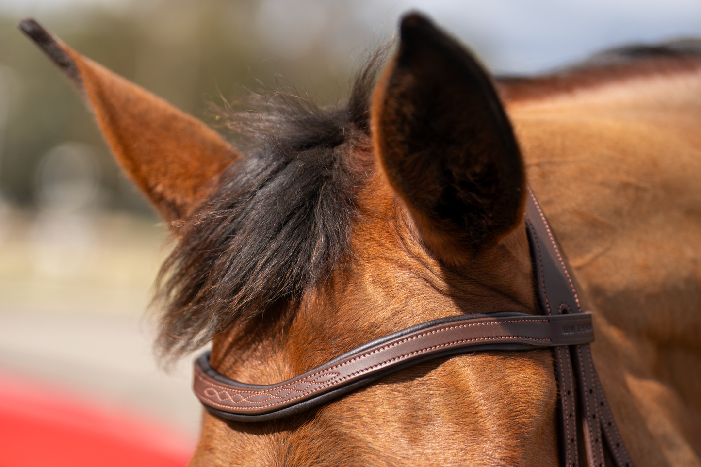 BRIDLE 2