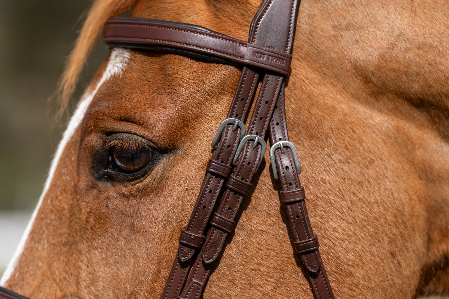BRIDLE 1
