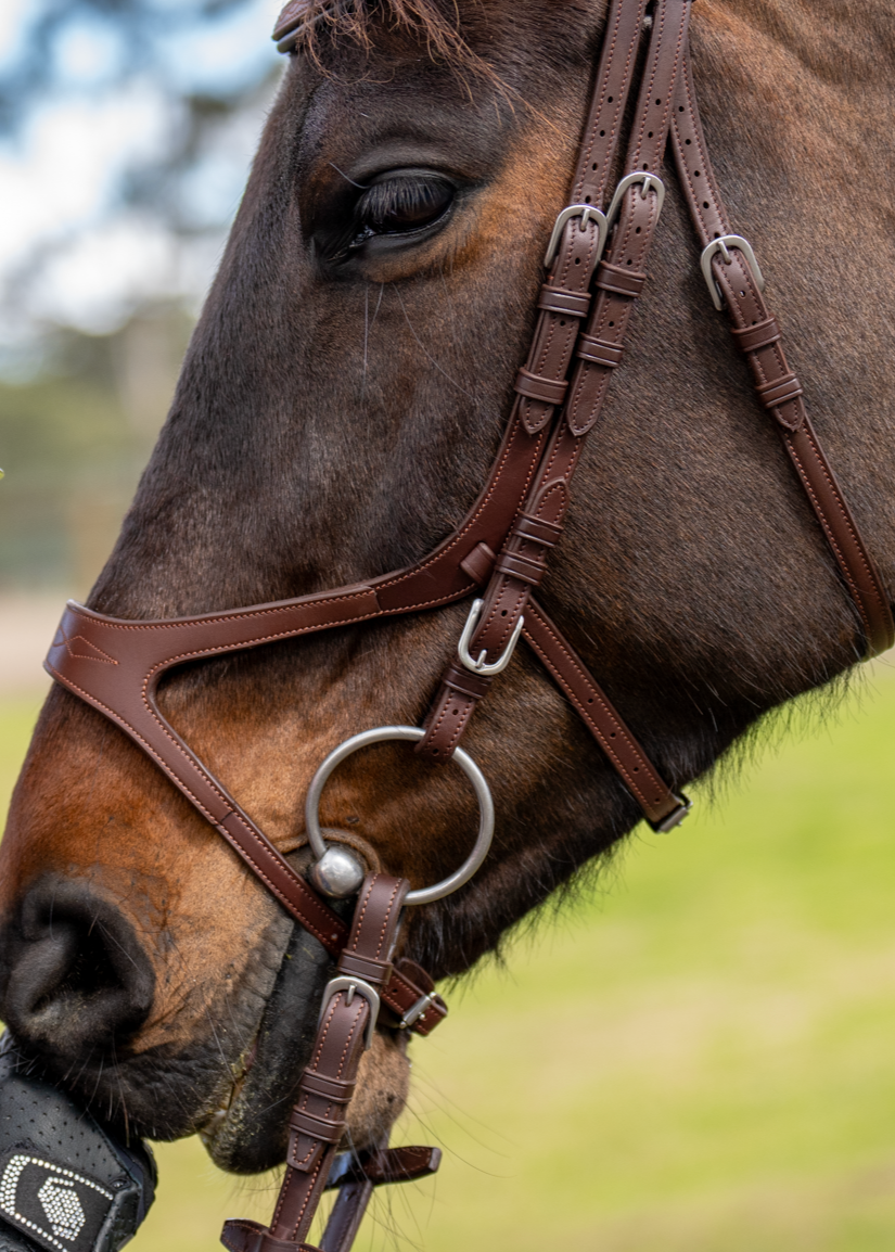 BRIDLE 3