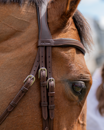 BRIDLE 2