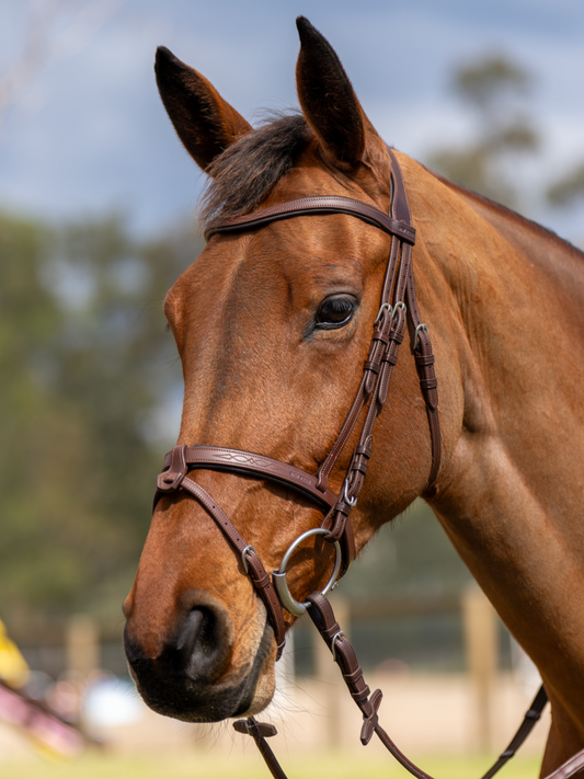 BRIDLE 2