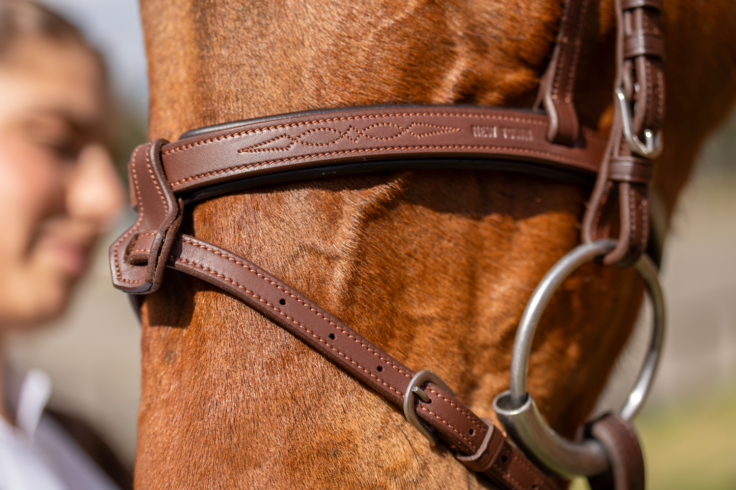 BRIDLE 2