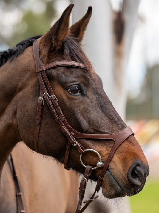 BRIDLE 3